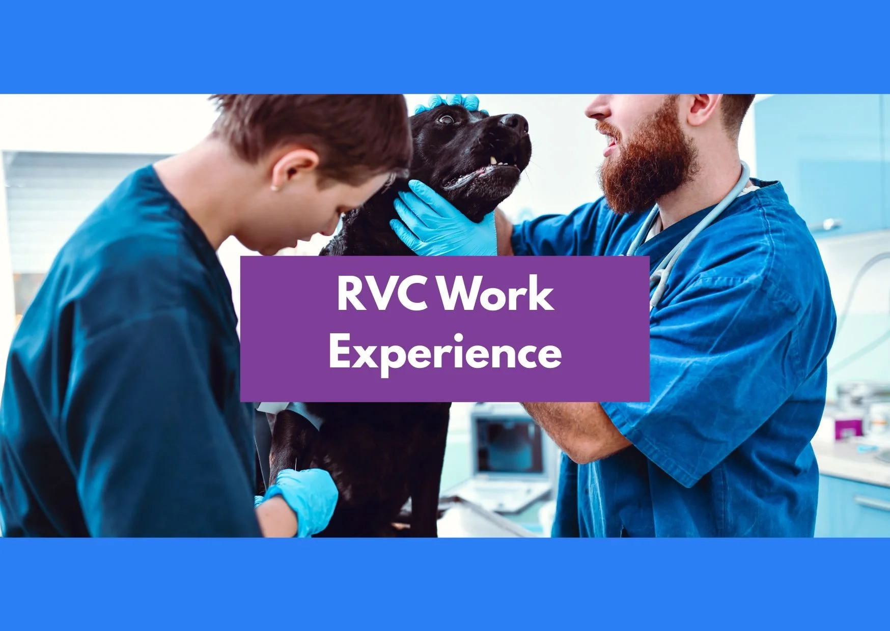 Image of an RVC applicant undertaking work experience with U2 Tuition to boost her veterinary medicine applications and the text 'RVC Work Experience'