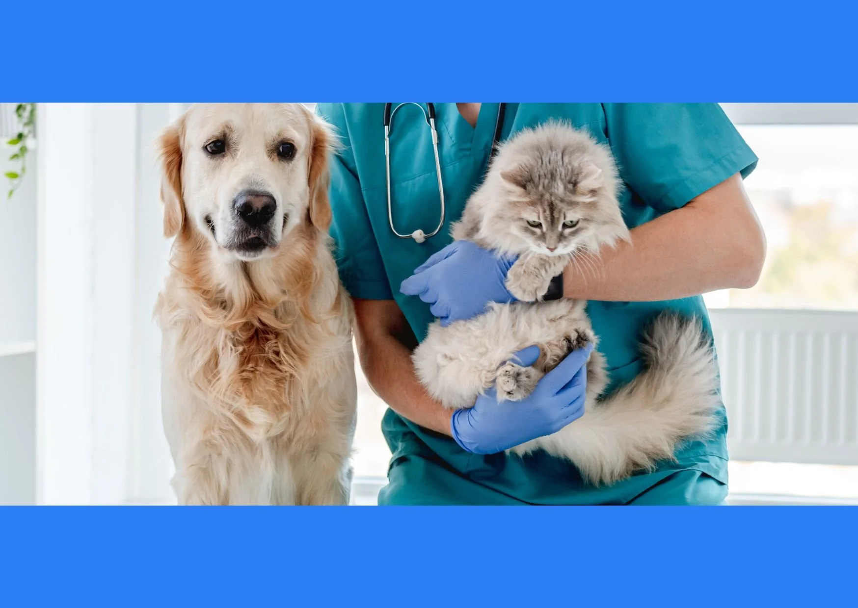 A U2 Tuition RVC admissions mentor with a cat and a dog