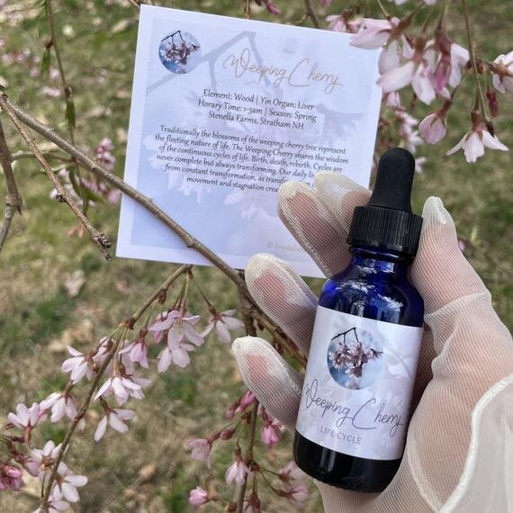 https://i.etsystatic.com/17022055/r/il/42083f/3076267651/il_570xN.3076267651_ckud.jpg