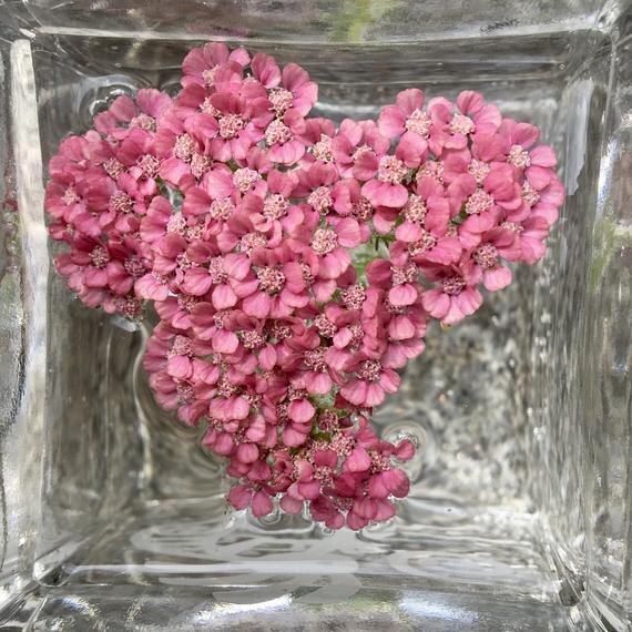 https://i.etsystatic.com/17022055/r/il/c4f8d0/2246952408/il_570xN.2246952408_t7p4.jpg