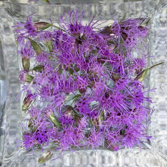 https://i.etsystatic.com/17022055/r/il/45ff38/2246556880/il_570xN.2246556880_nuzt.jpg