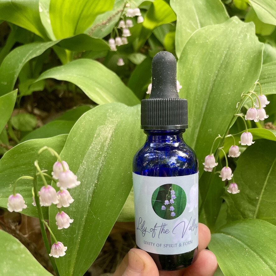 Lily Of The Valley Essential Oil