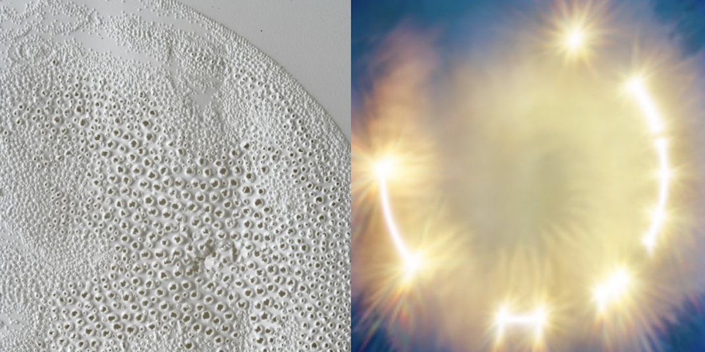 Opening Reception: “Celestial Bodies”