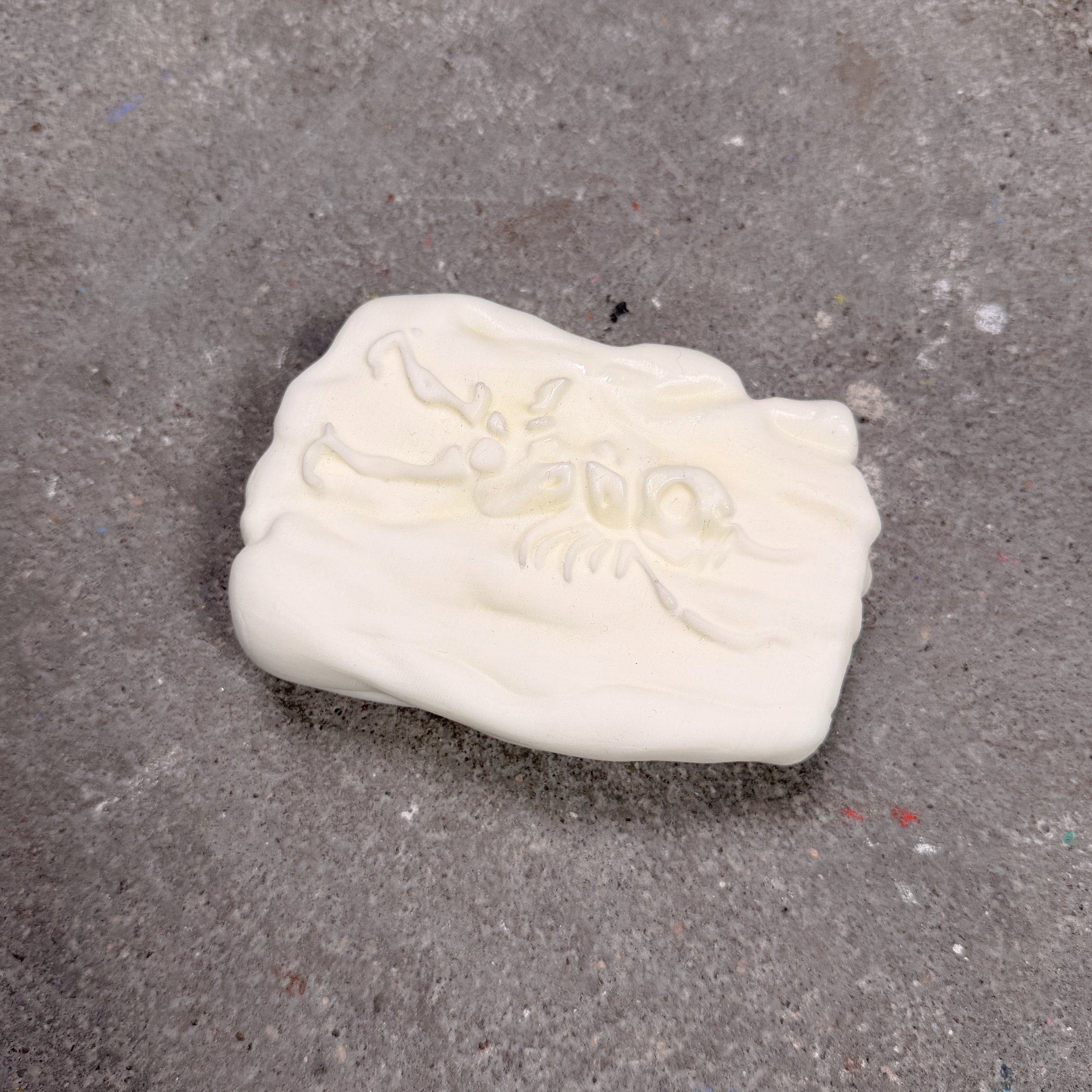 Modèle 3D Fossile du muséum