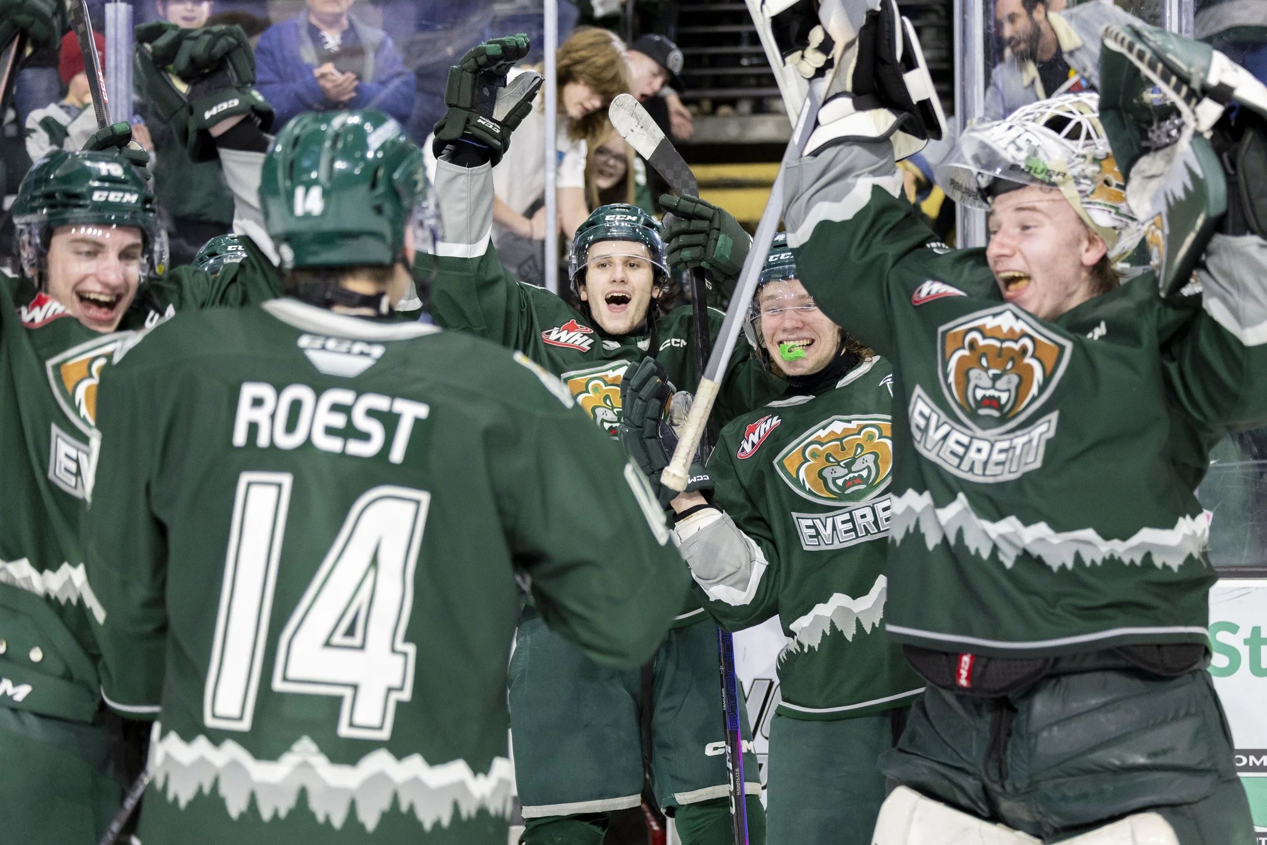 Olympic park apartments