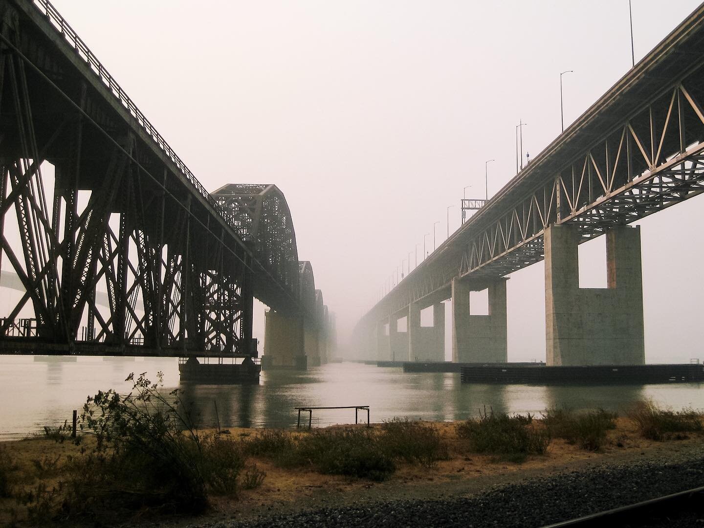 (&lsquo;20)