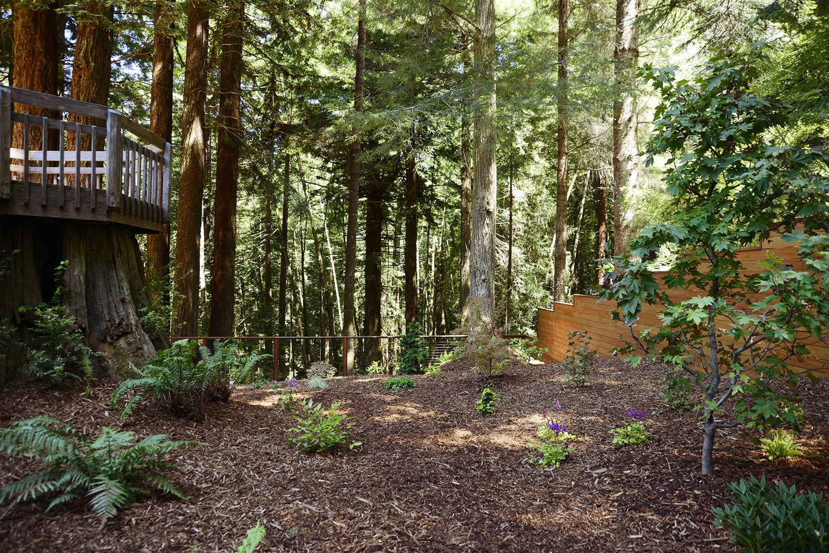 220720_Hardscaping_SidePlantings3.jpg