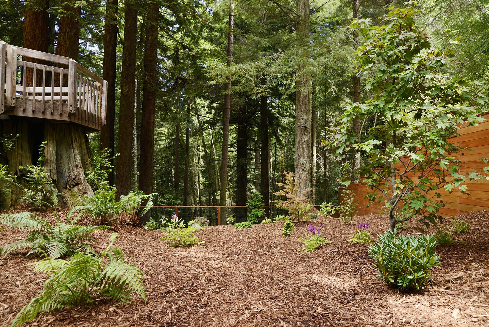 220720_Hardscaping_SidePlantings1.jpg