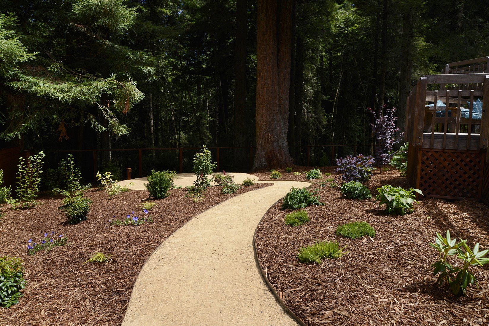 220720_Hardscaping_Path1.jpg