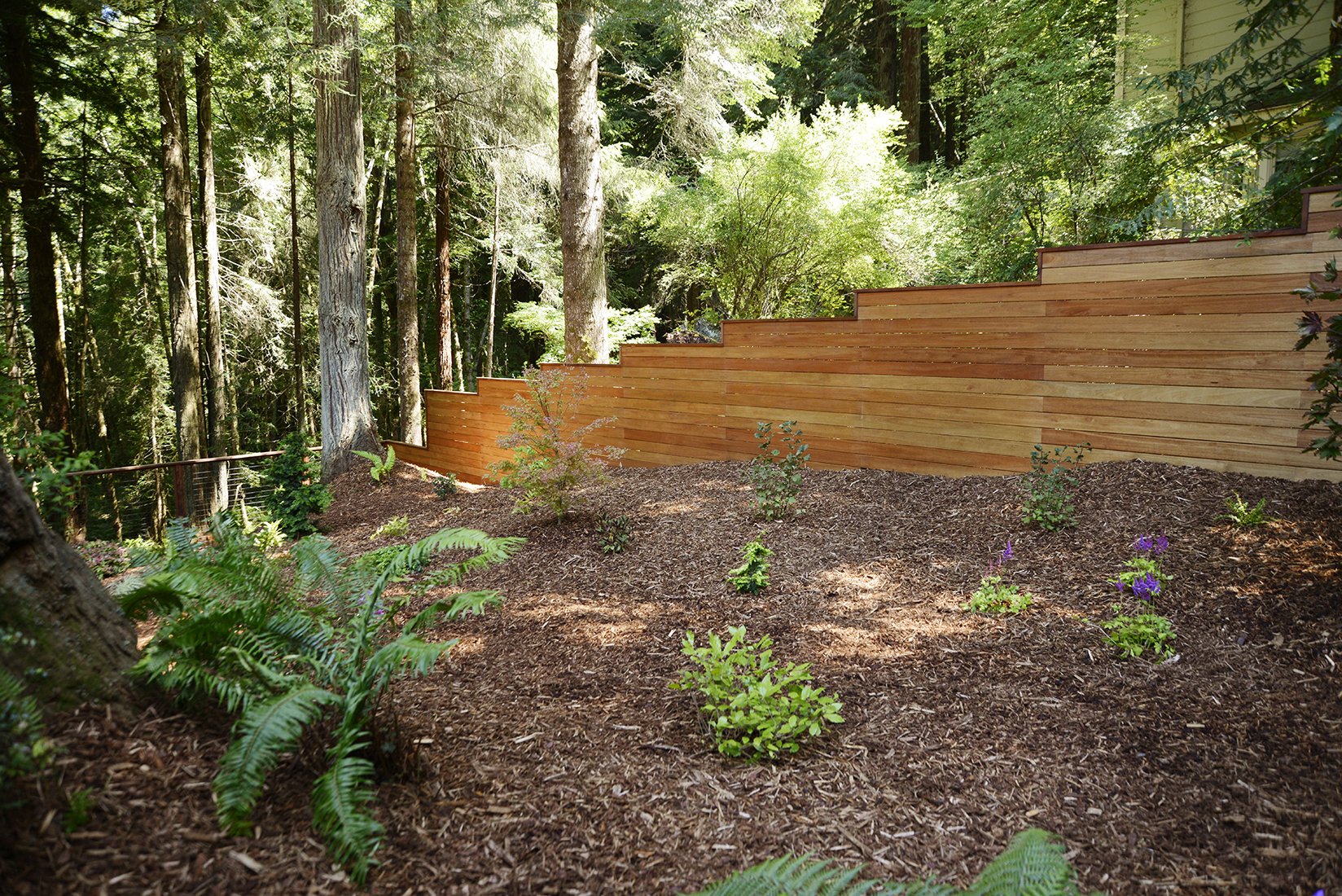 220720_Hardscaping_SidePlantings2.jpg