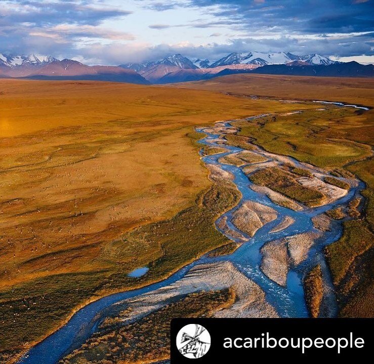 📡BIG NEWS via @acariboupeople 📺 Yesterday, President #Biden signed an Executive Order which placed a temporary moratorium on all oil and natural gas leasing activities in the Arctic National Wildlife Refuge. This is an important first step towards 