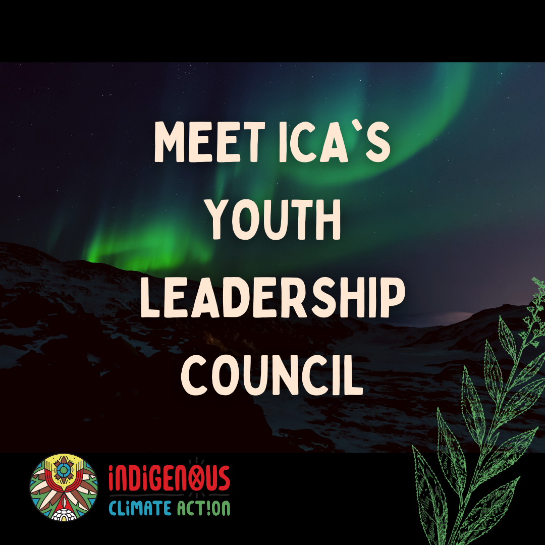 Introducing the Youth Leadership Council