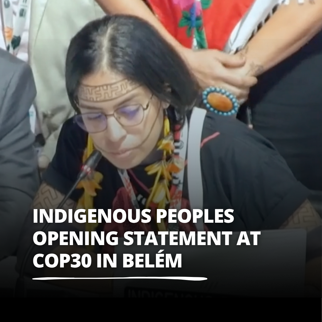 Indigenous Peoples Opening Statement at COP30 in Belém, Brazil