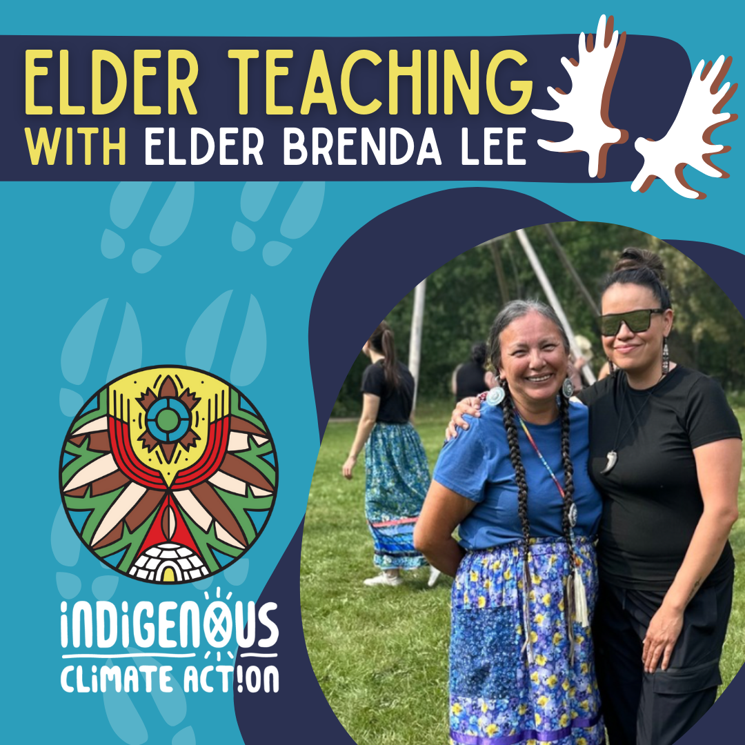 Elder Teaching with Brenda Lee: Teachings of the Bull Moose