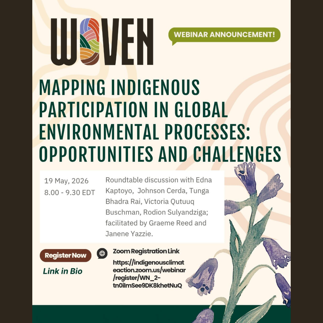 Mapping Indigenous Participation in Global Environmental Processes: Opportunities and Challenges