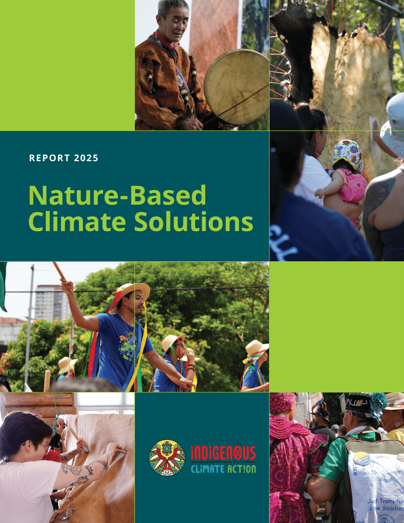 Nature-based Climate Solutions Report 2026