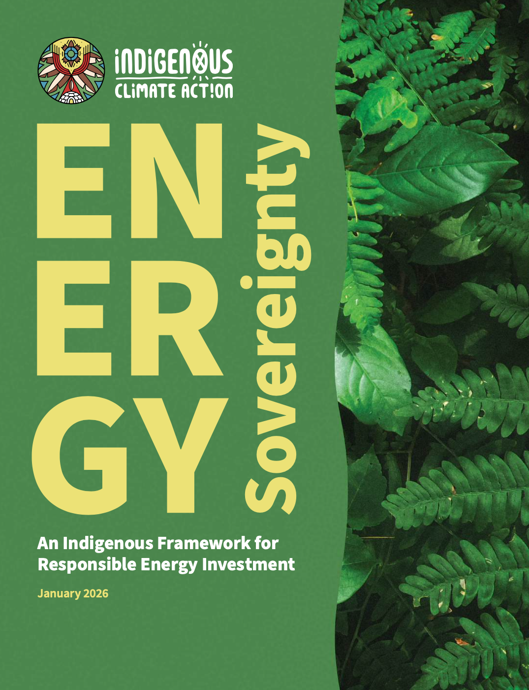  Investment Report | 2026