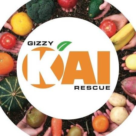 Gizzy kai rescue.jpg