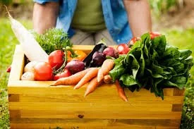 Food Charities Call for Sustainable Government Funding Amid Ongoing Uncertainty