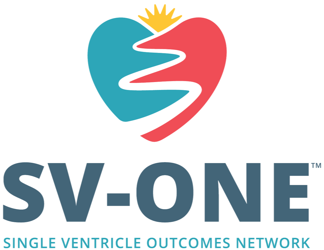 SV-ONE