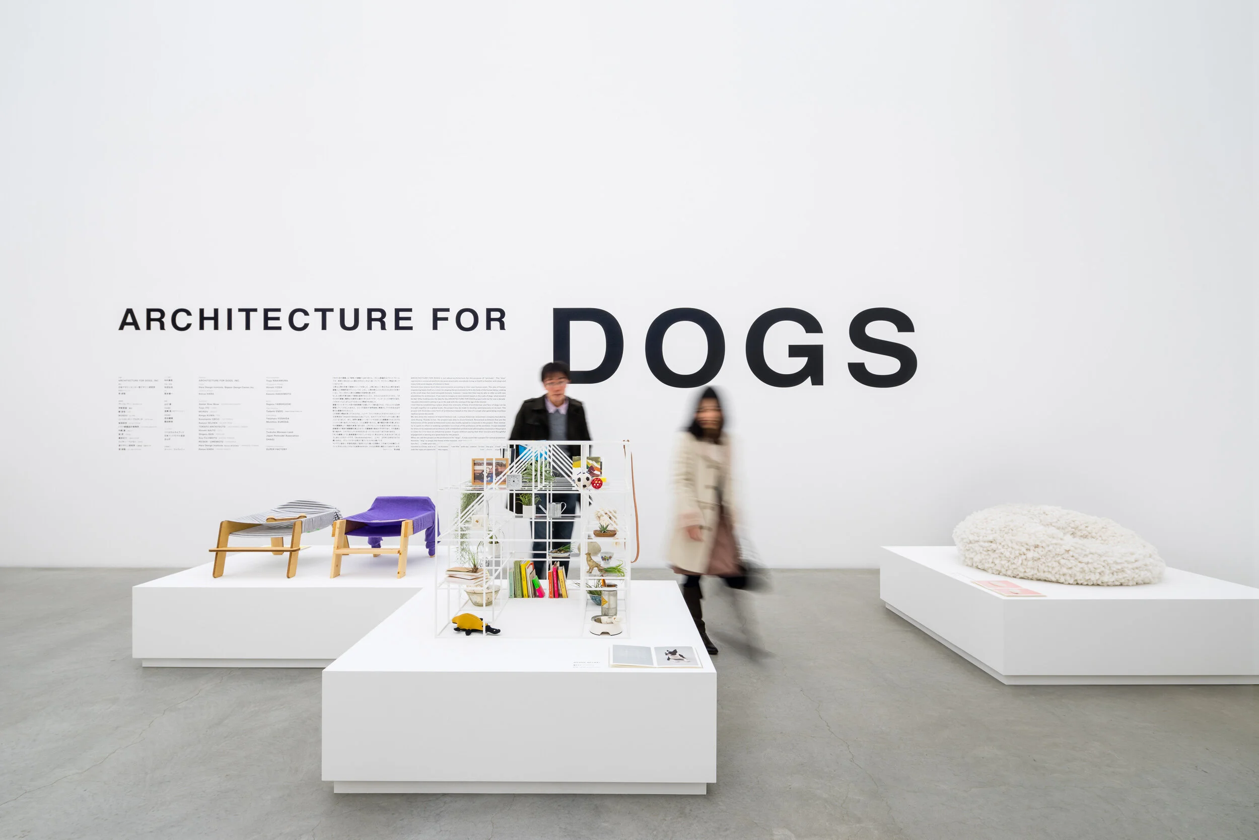 Architecture for Dogs Kanazawa