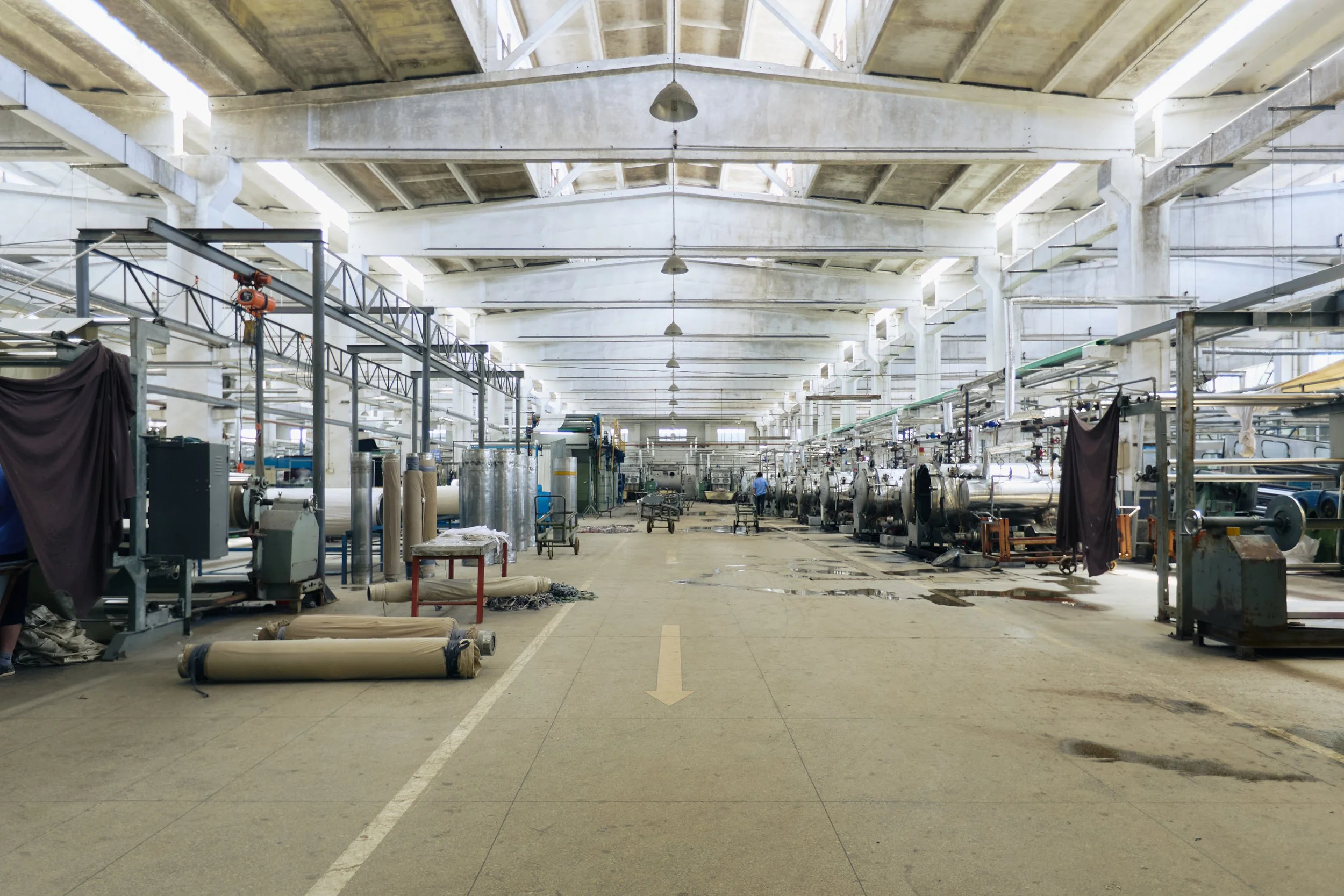 Everlane