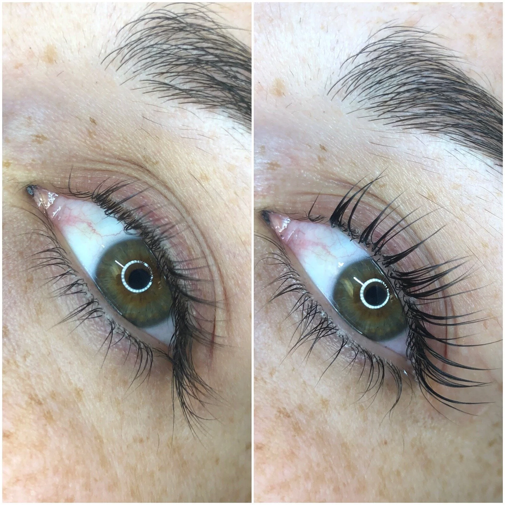 lashes brows and blush