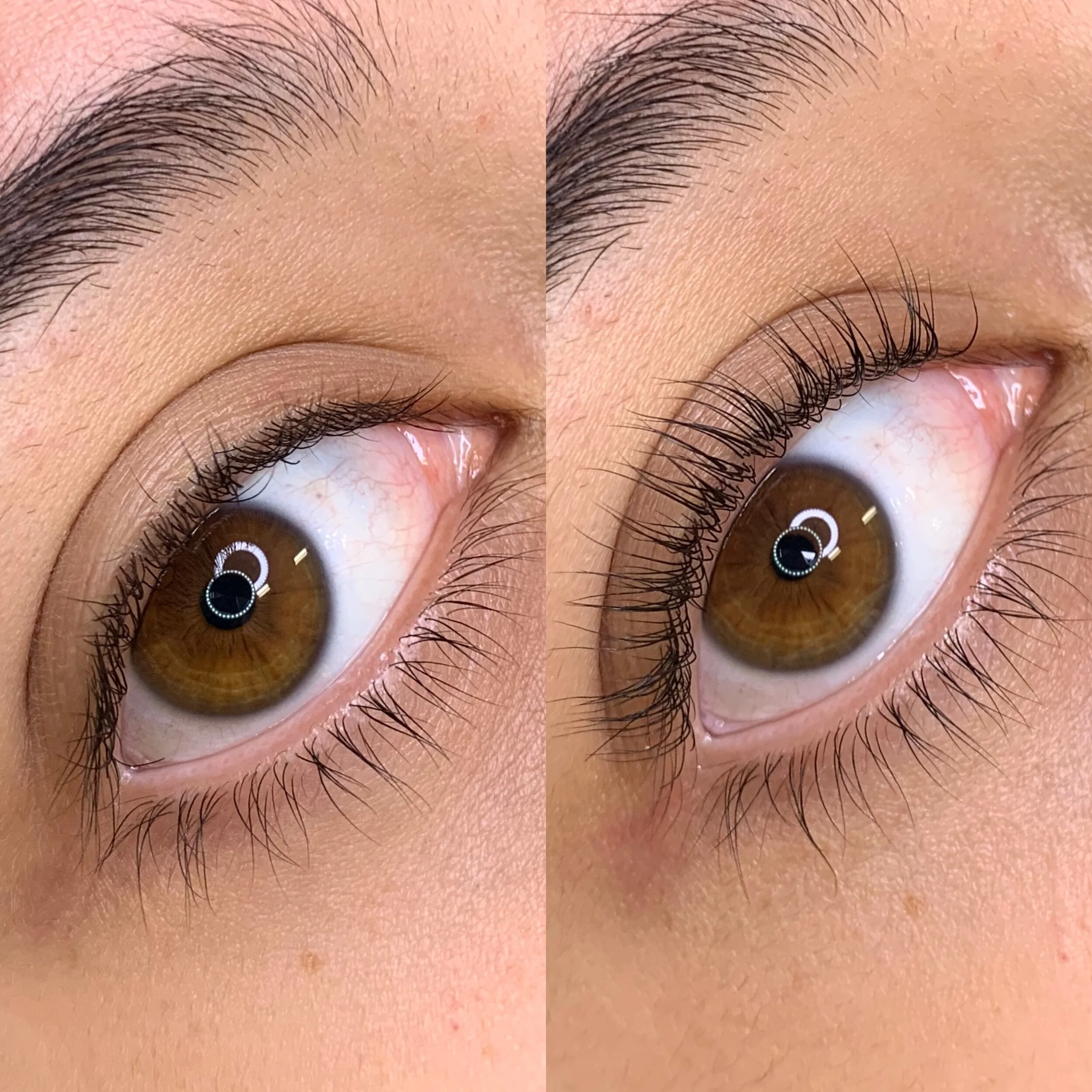 lashes brows and blush