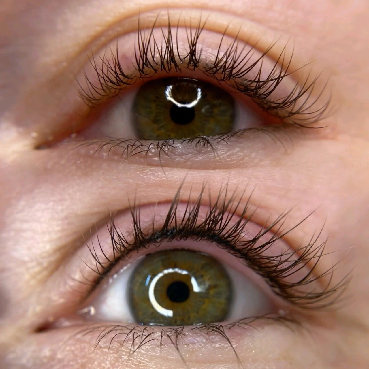 WILDFLOWER BEAUTY + BROWS Lash Enhancement / Shaded Eyeliner