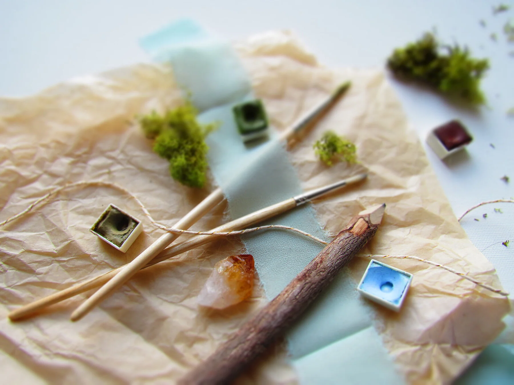 nature and art supplies