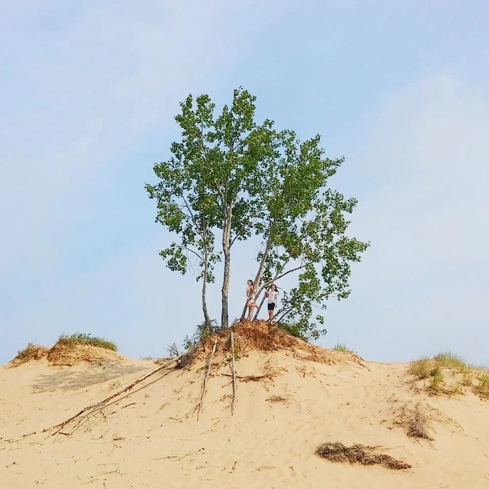 This summer was going to be a summer of travel. I had a plan to make roadtrips each weekend to visit some of Michigan's natural treasures, and build a catalog of photos for me to paint over the next year.
.
.
Of course, the unexpected happened, and t