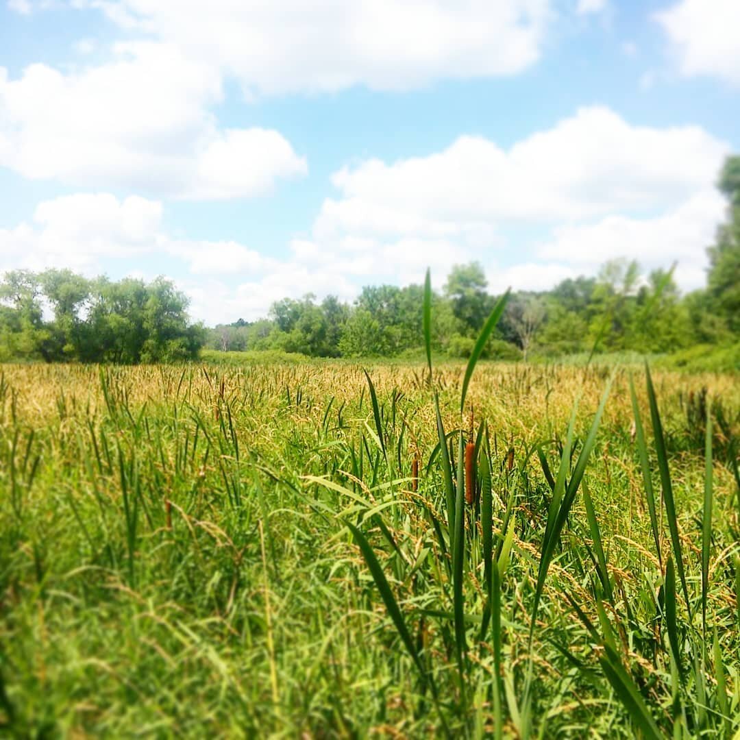 If you could live anywhere, where would it be? Sometimes I think I want to live in the middle of nowhere, and hear nothing but the birds, breeze, and the crickets at night. But then again, I would miss walking to the grocery store or ice cream shop. 