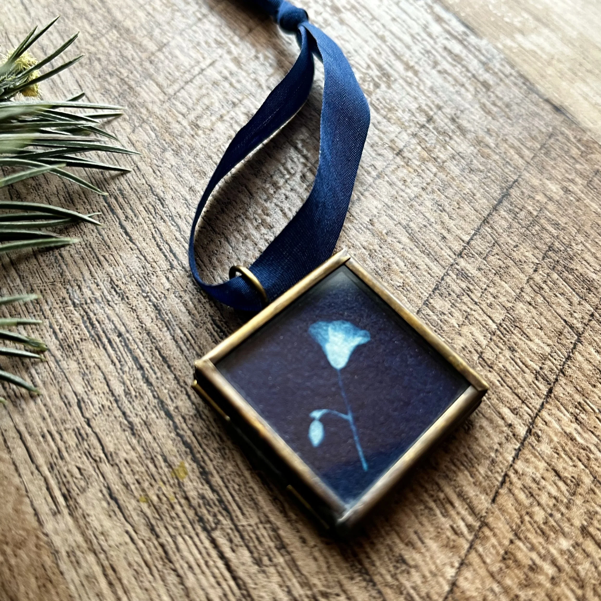 Curiosity &amp; Branching Out