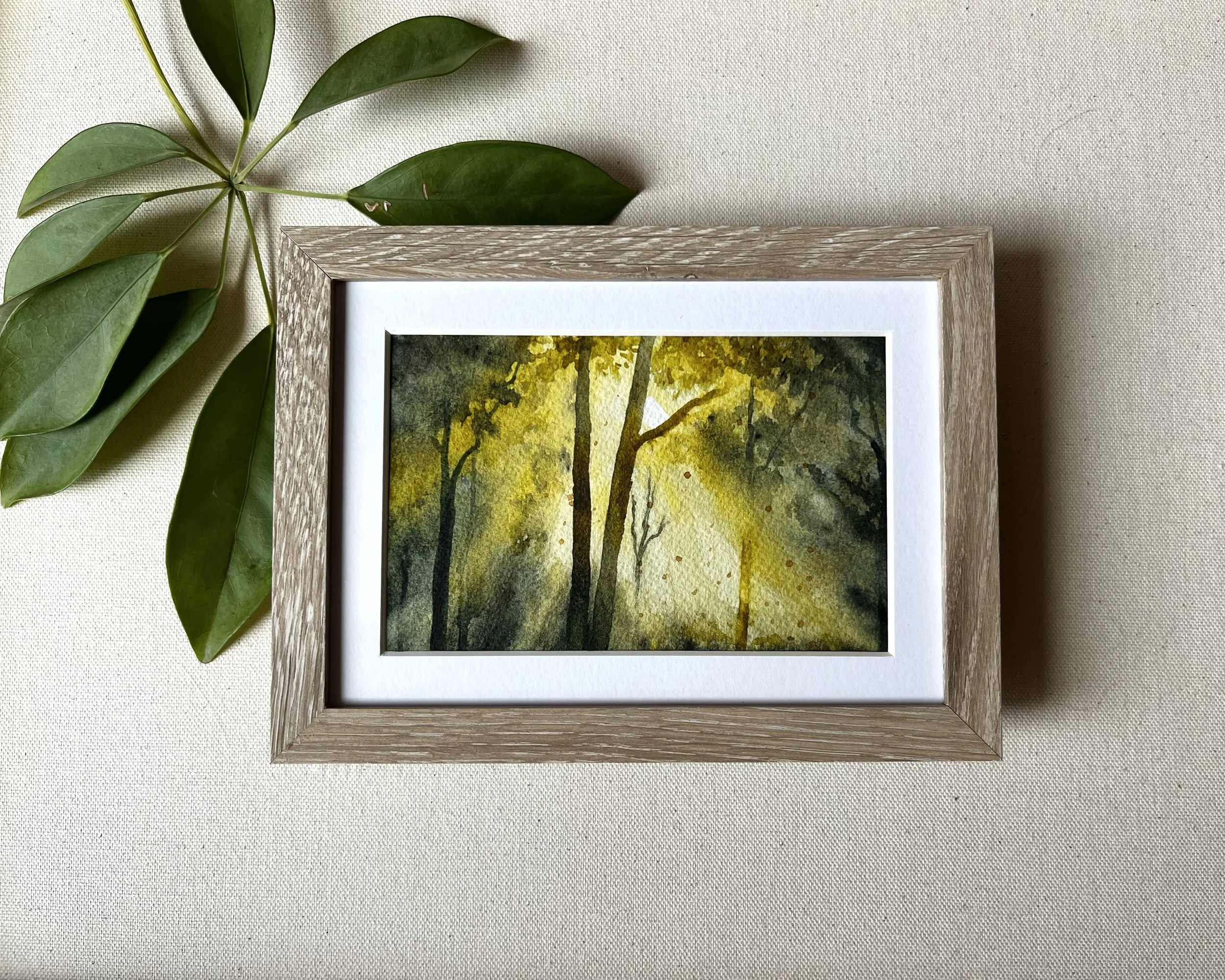 Forest Light Landscape