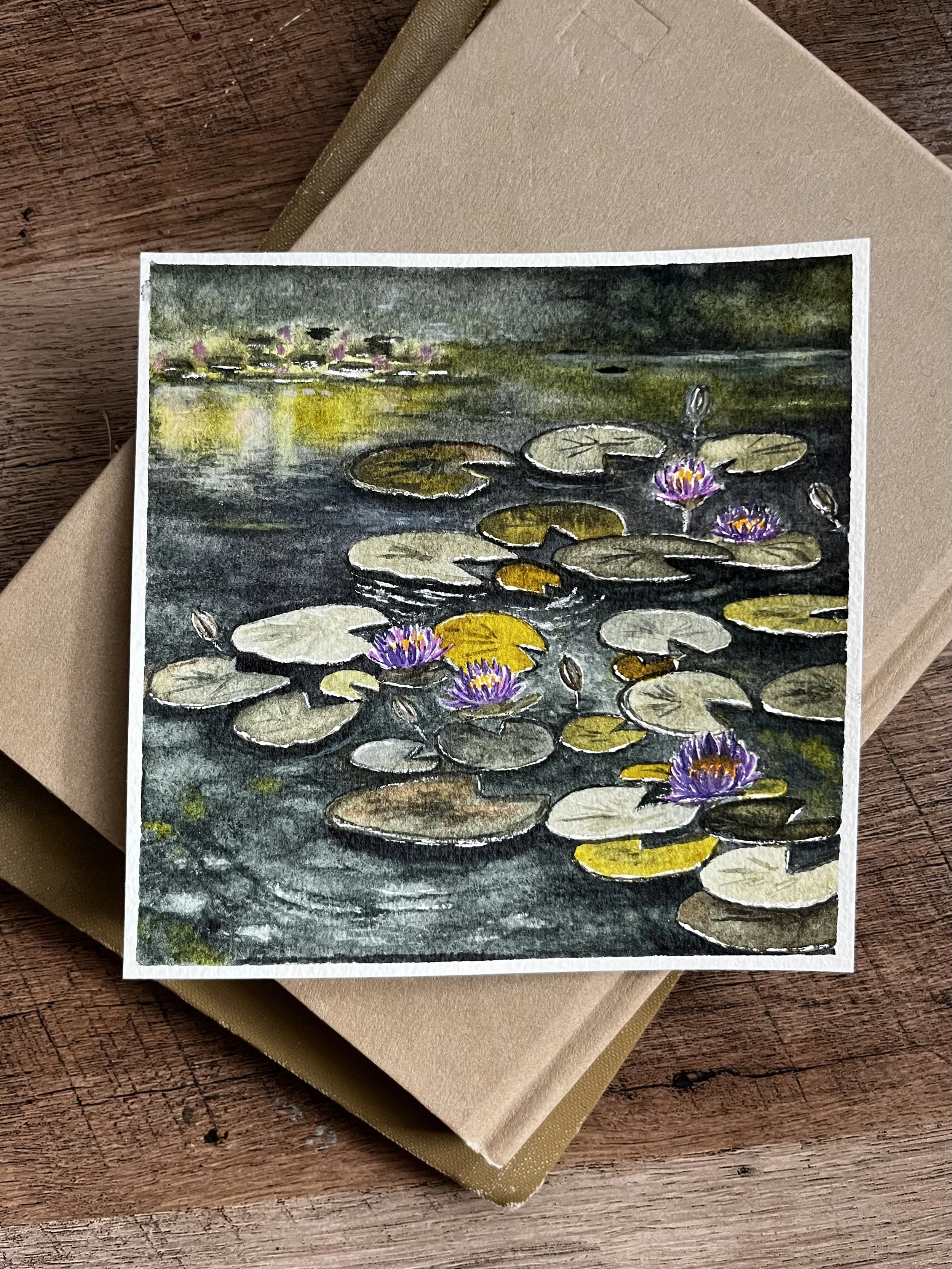Water Lily Pond Landscape