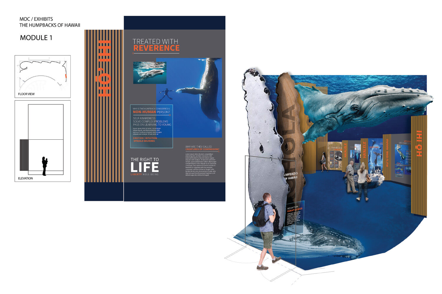 Humpbacks of Hawai'i Exhibit :: Branding