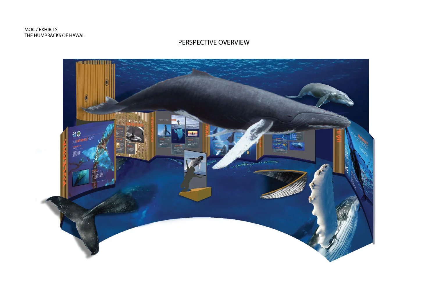 humpbacks-of-hawaii.jpg