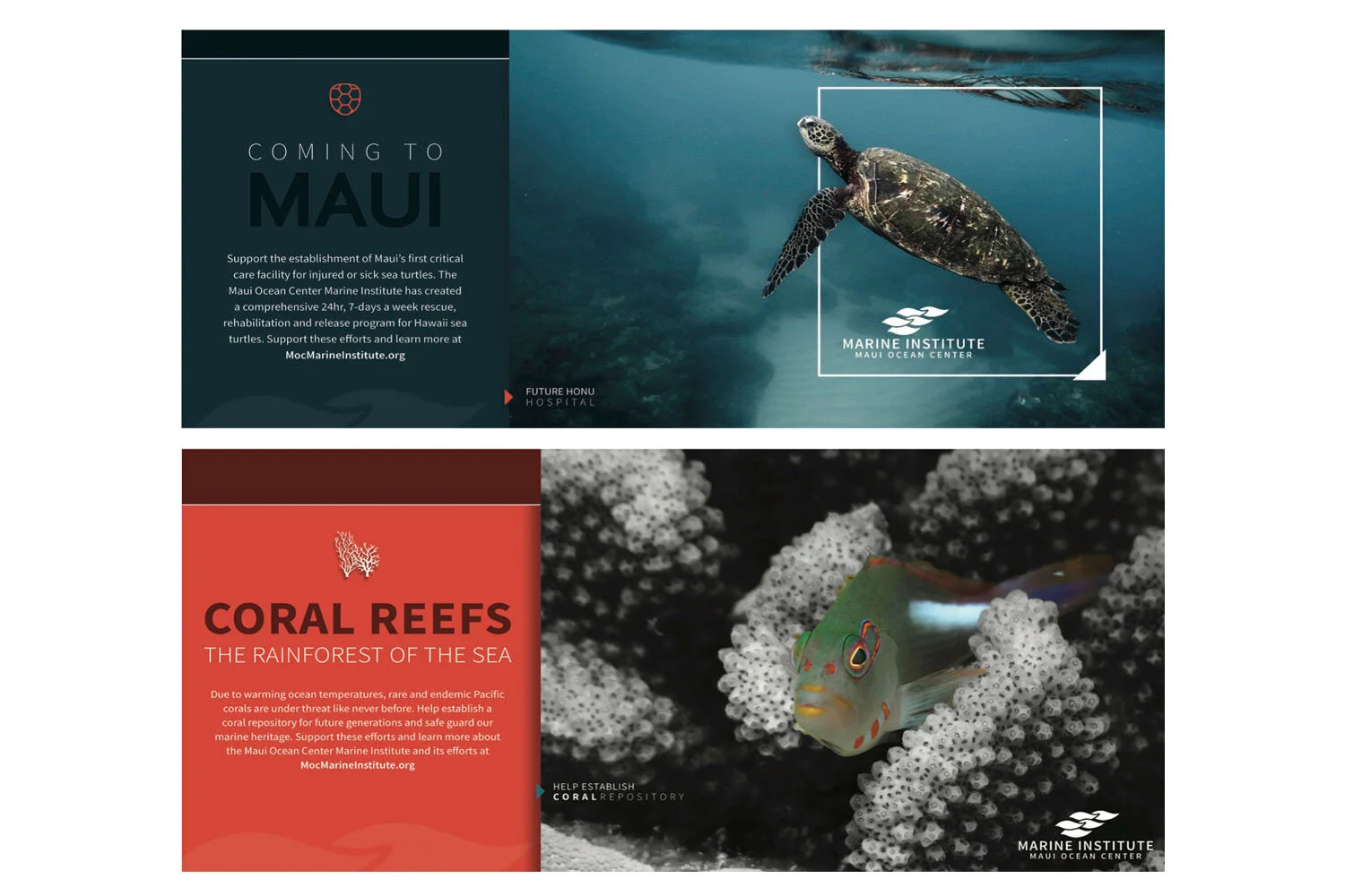 maui-ocean-center-ads-shanoaleigh.jpg
