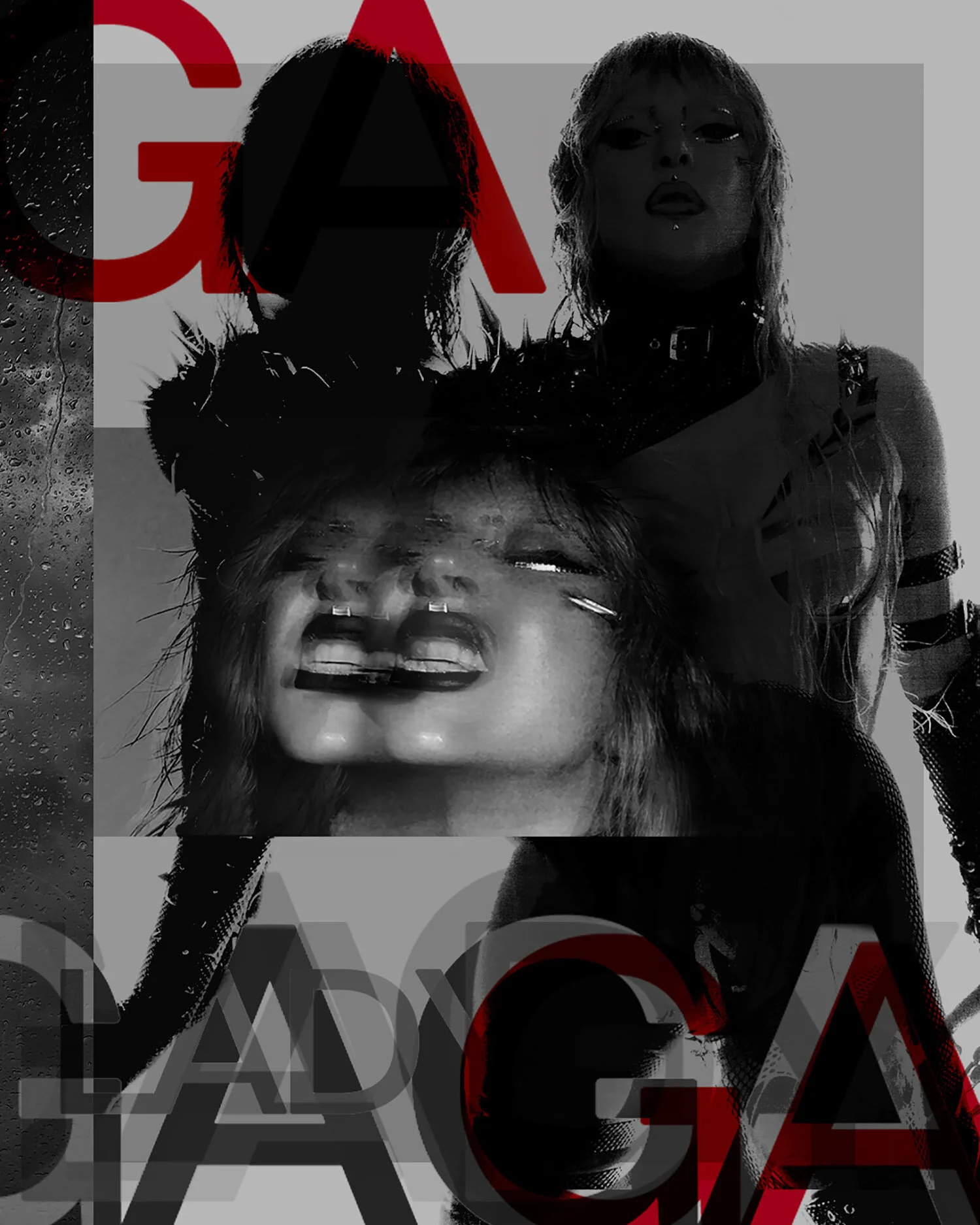 lady-gaga-poster-shanoaleigh.jpg