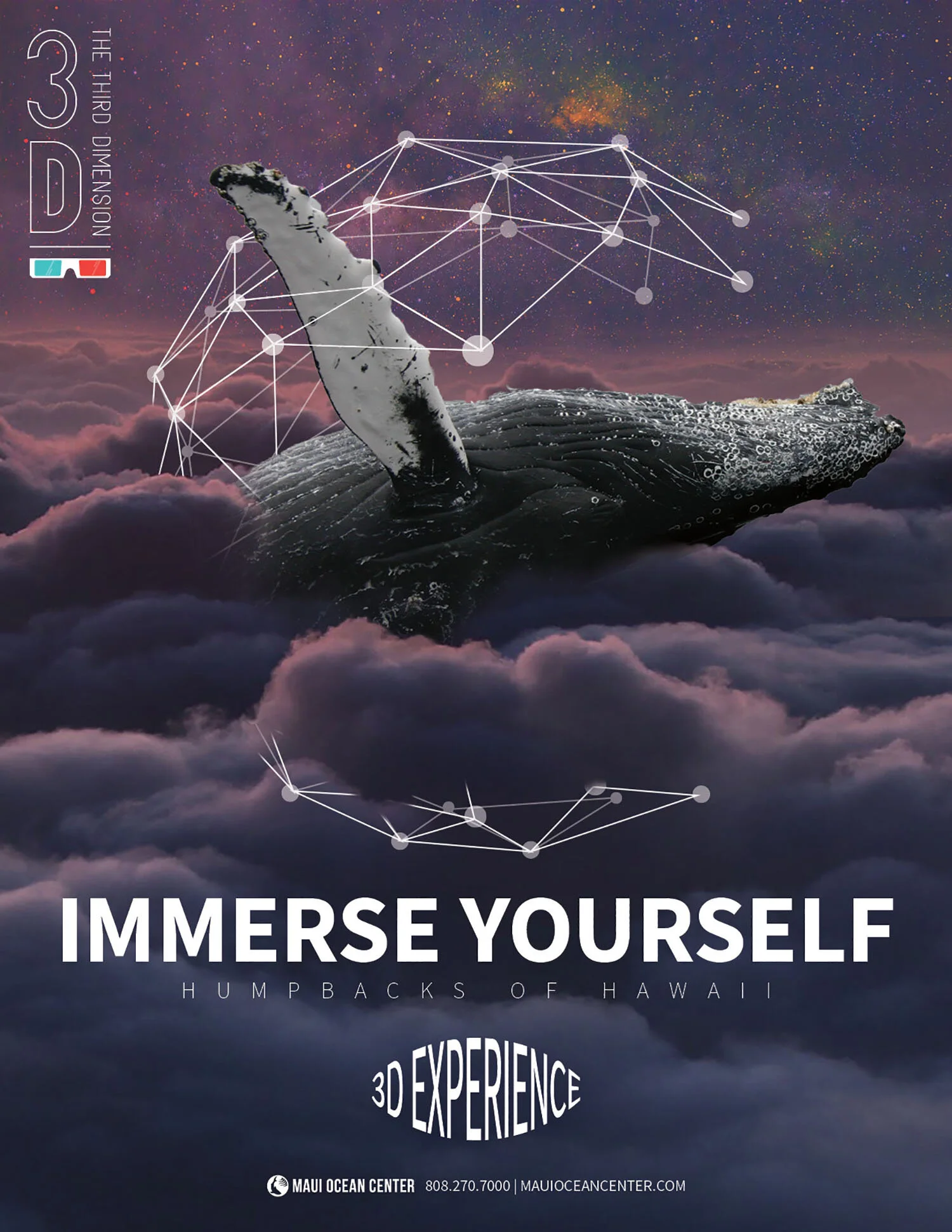 whale-poster-shanoaleigh.jpg
