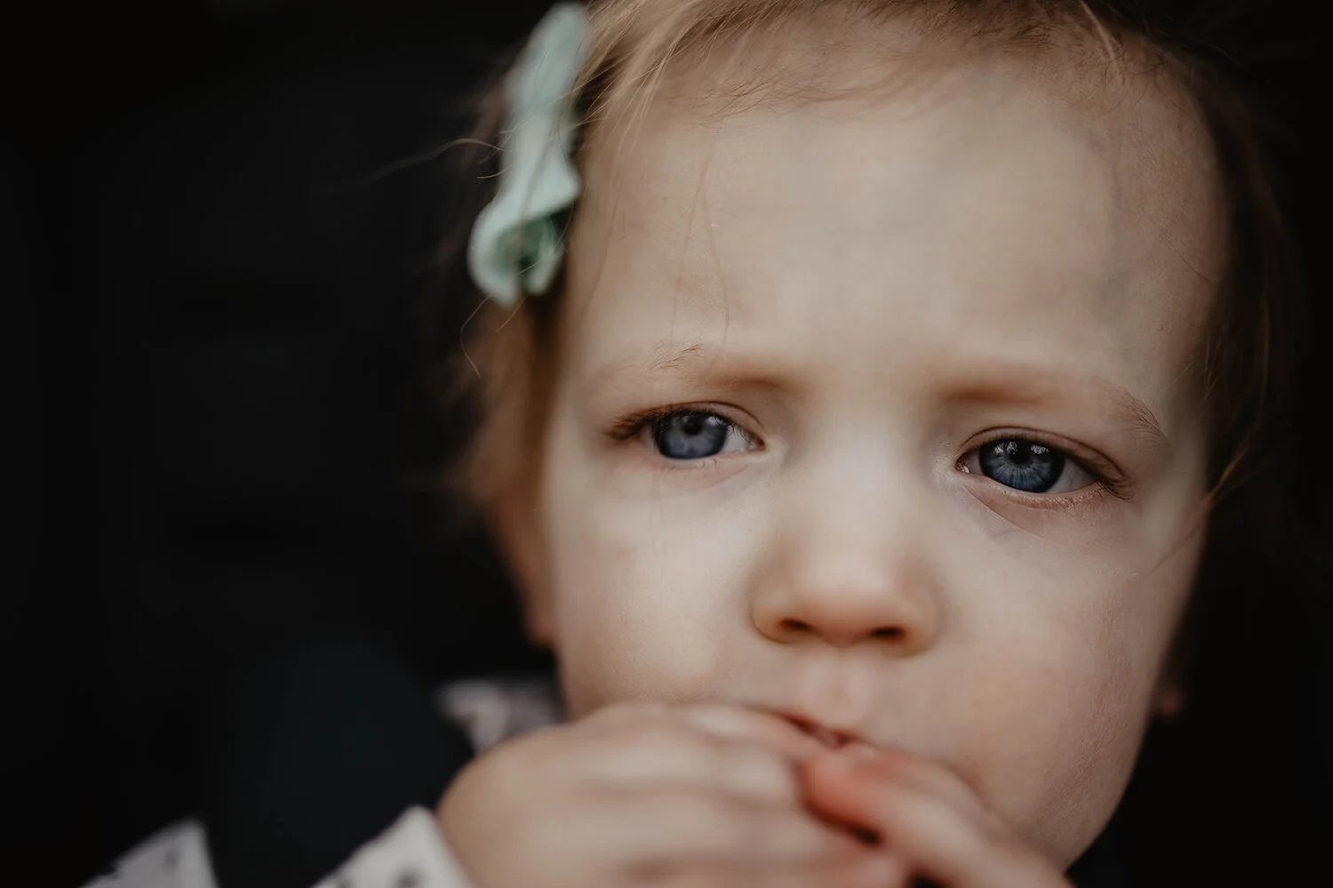 minnesota-family-photographer-wbh.jpg
