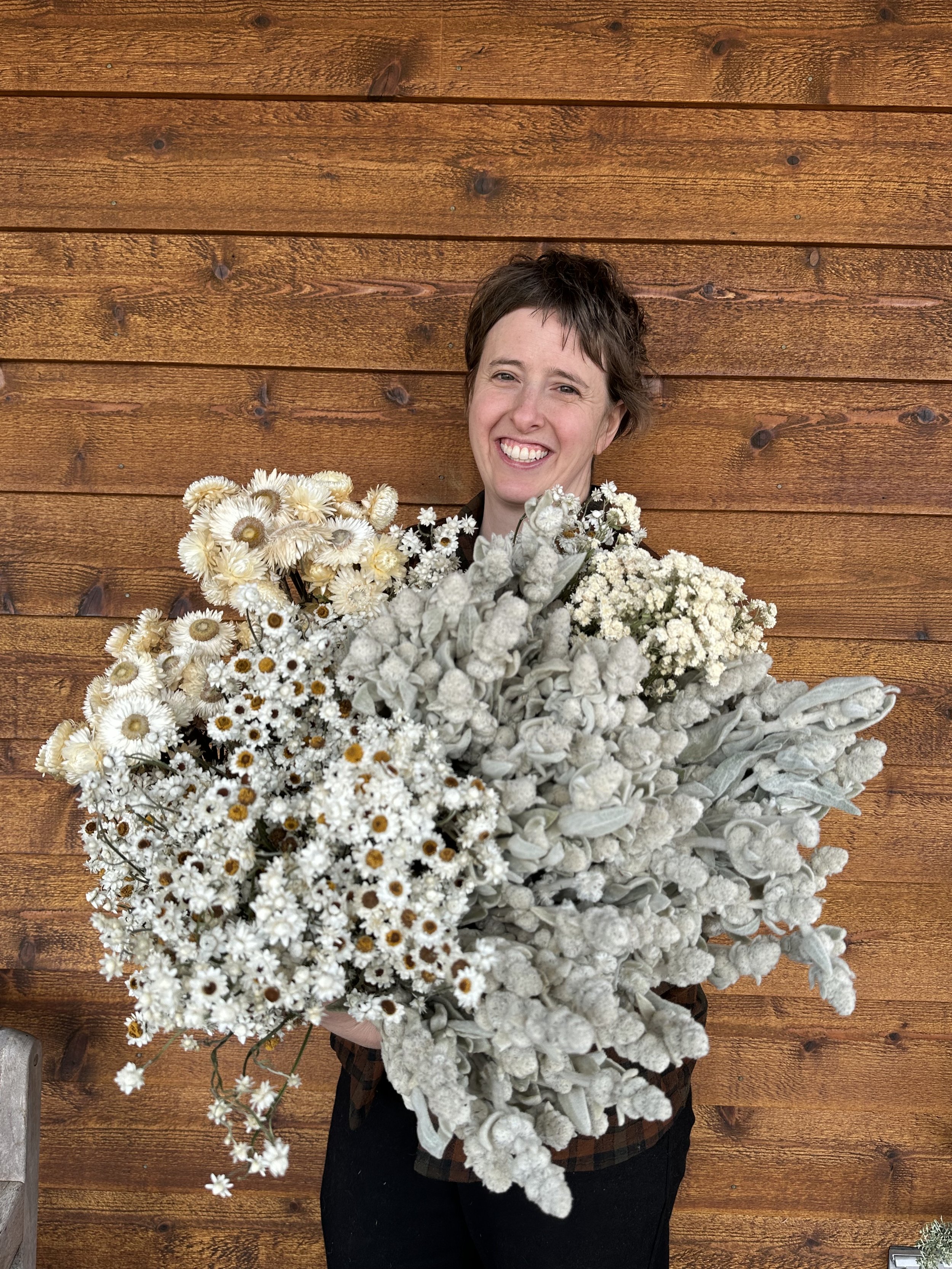 Dried Flowers Charles Little and Company LLC
