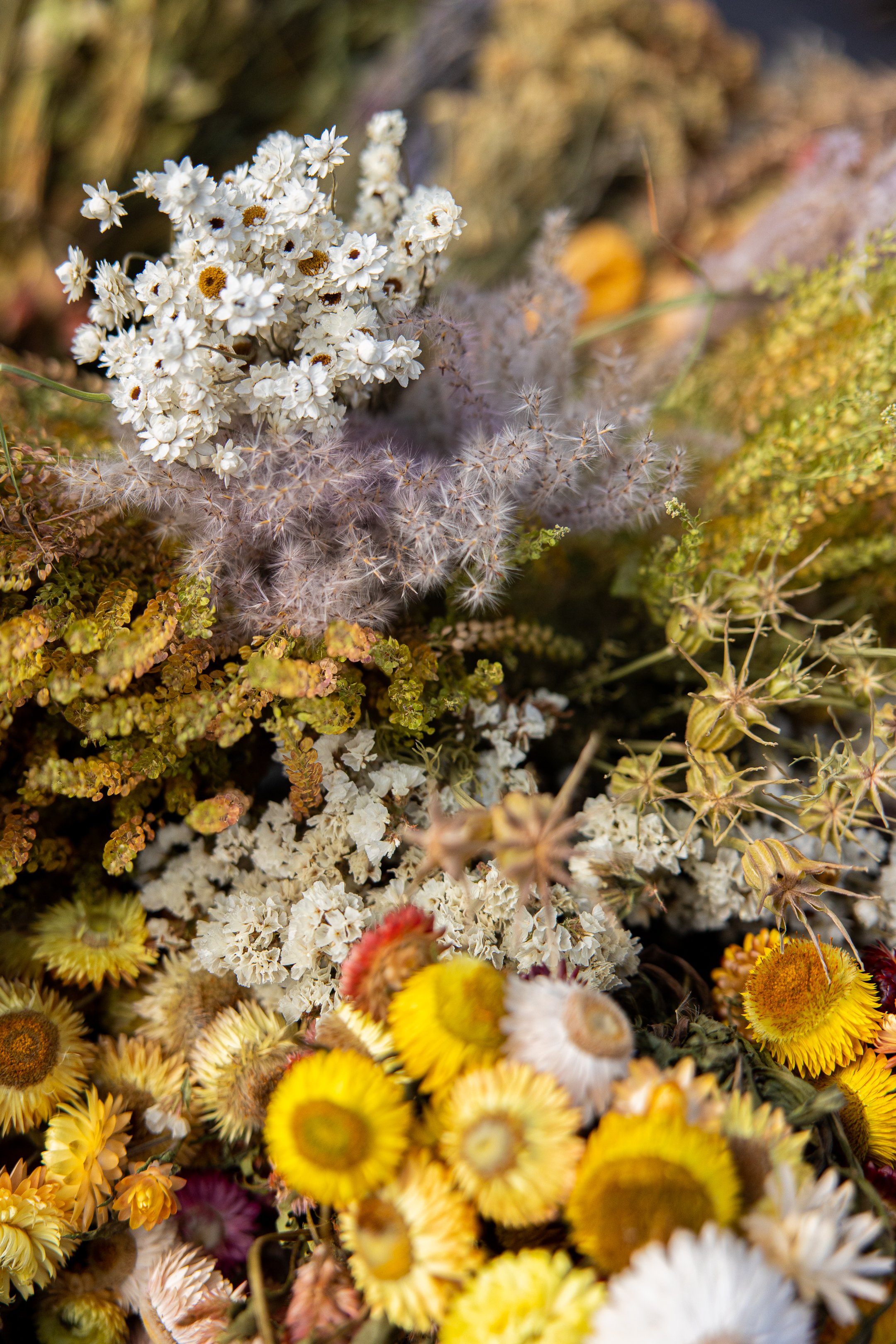 Dried flowers sale