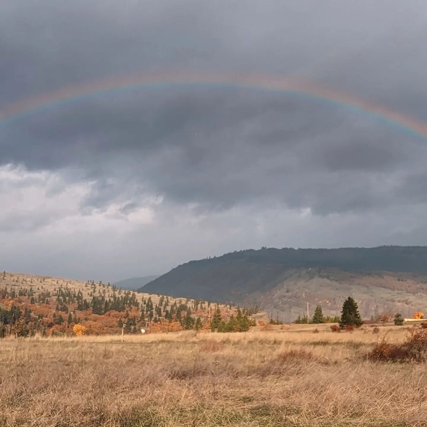 A mix of rain and sun today at Double Strand Wine. That can only mean one thing. Rainbows! Open noon to 5 today for rainbow viewing from The River Room and all your pre-holiday stock up needs. Cheers!