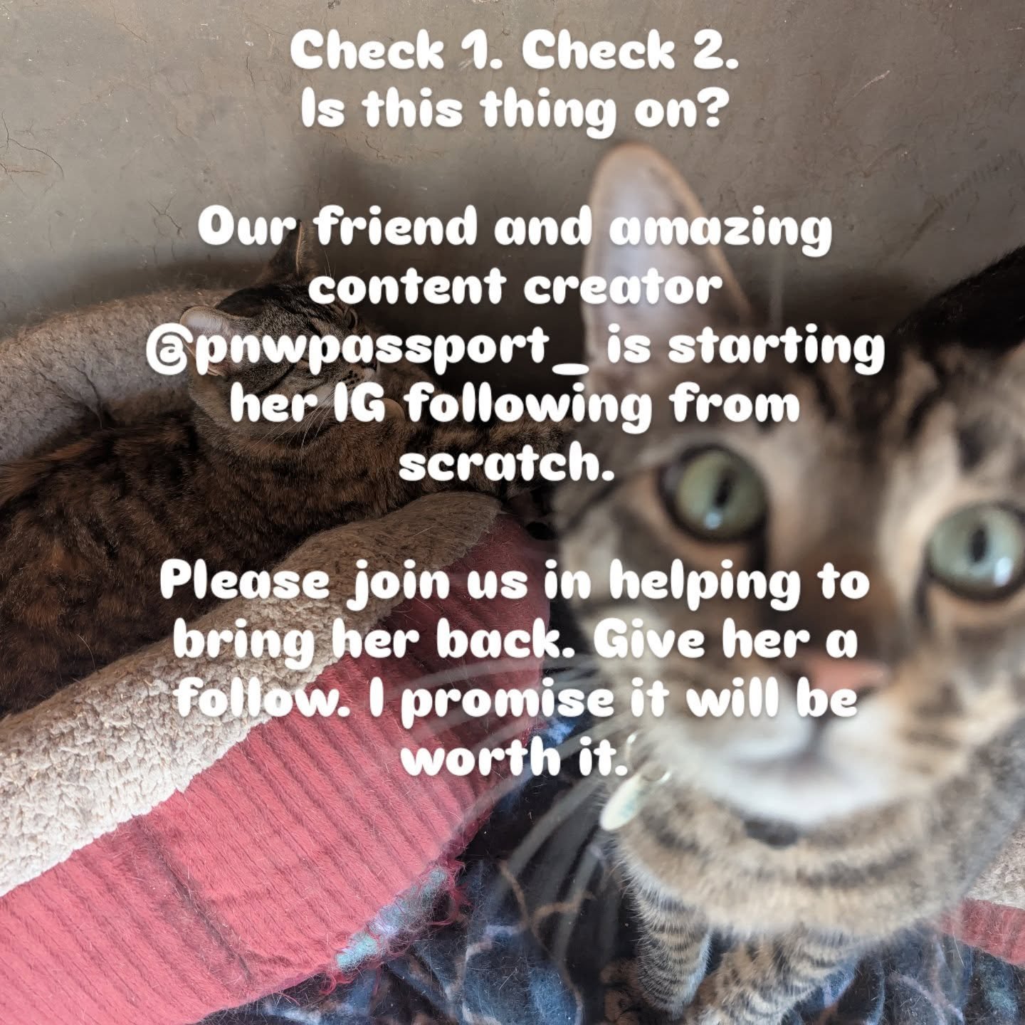 Check 1. Check 2. Is this thing on?

Our friend and amazing content creator @pnwpassport_ is starting her IG following from scratch after it got shut down a few days ago. She had over 200k followers.

Please join us in helping to bring her back. Give