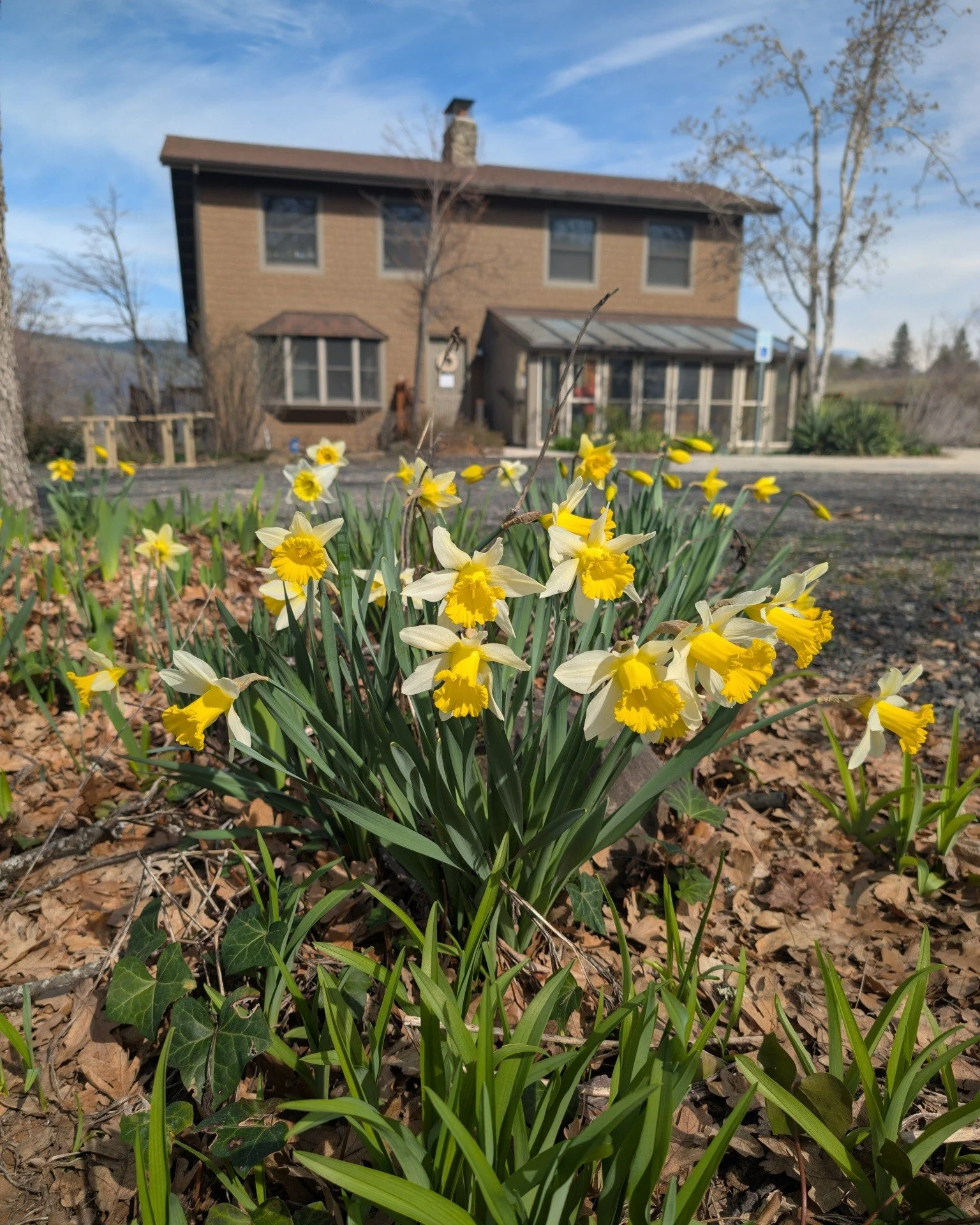 Gardens and Grenache Ros&eacute;? 

Yes please!

We're returning to our regular hours in April, but if you want to swing by, chill in the gardens, and sip some spring wines, just drop us a line.

 #gorgewine #oregonwine #pnw #spring #springblooms #ga