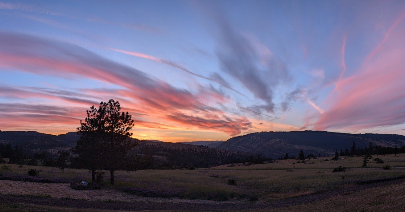 Mosier sunsets. 

When do you plan to come visit?

 #gorgewine #oregonwine #PNW #wildflowers #garden #blossom #spring