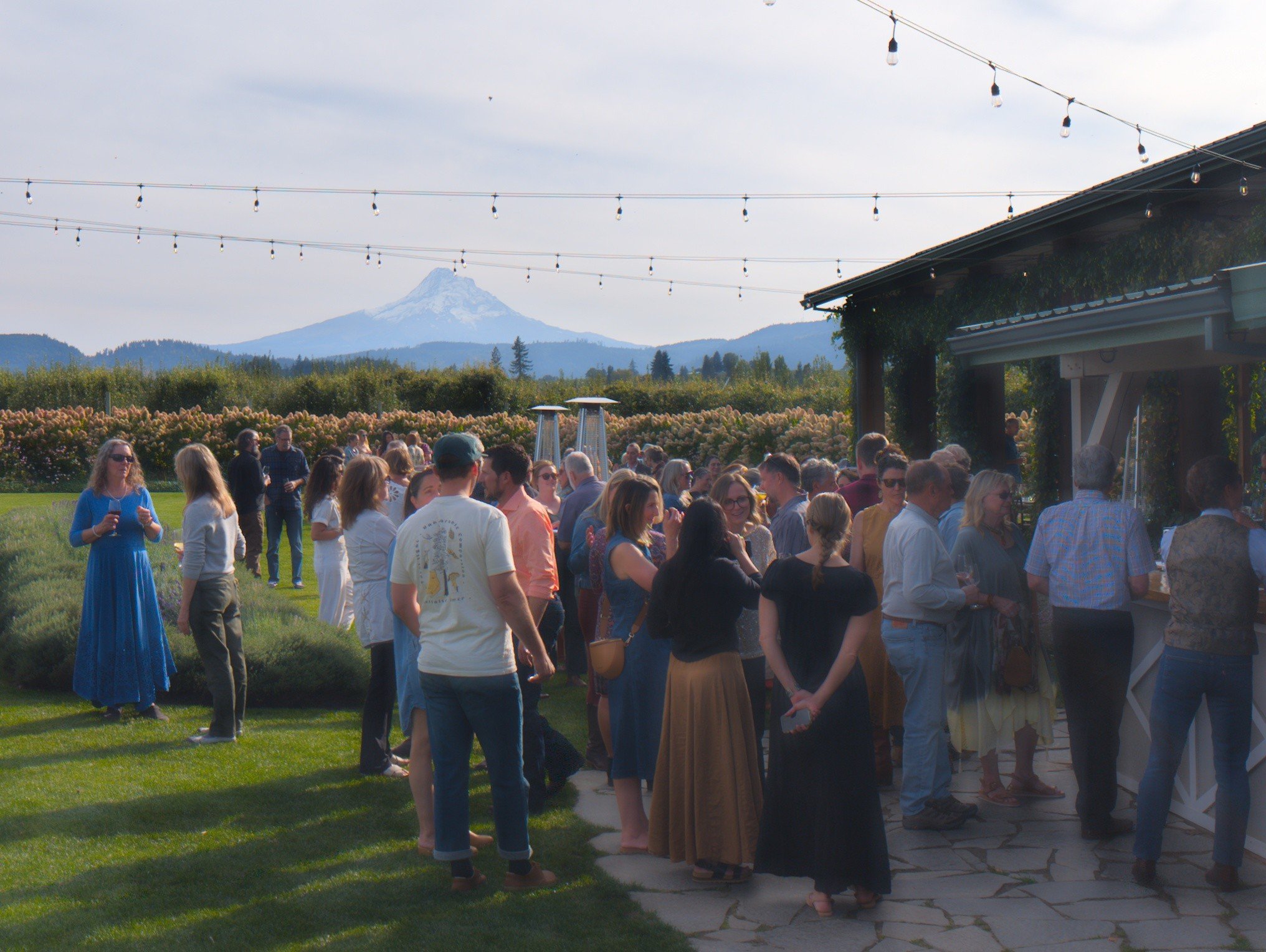 A few photos from last night's wonderful Gorge Grown Harvest Dinner. Our Ros&eacute; of Grenache was a big hit paired with a lightly dressed purple shiso, nasturtium, arugula, and herb salad.