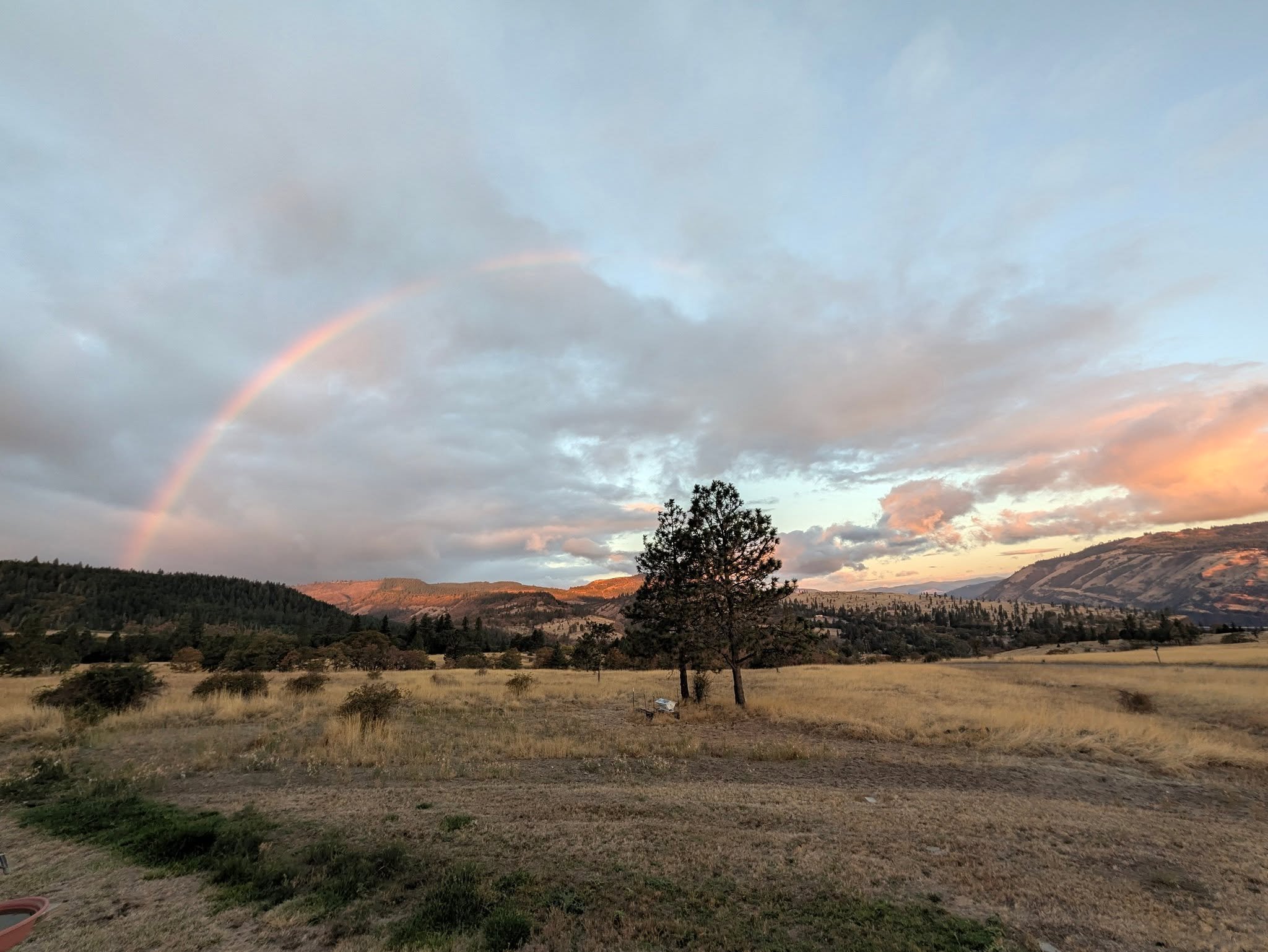 Moody Fall morning Gorge rainbow. Perfect way to start a big day of pressing Merlot and running the Tasting House. 

Come visit!
 #gorgewine #oregonwine #Harvest2026 #columbiagorge #mosieroregon