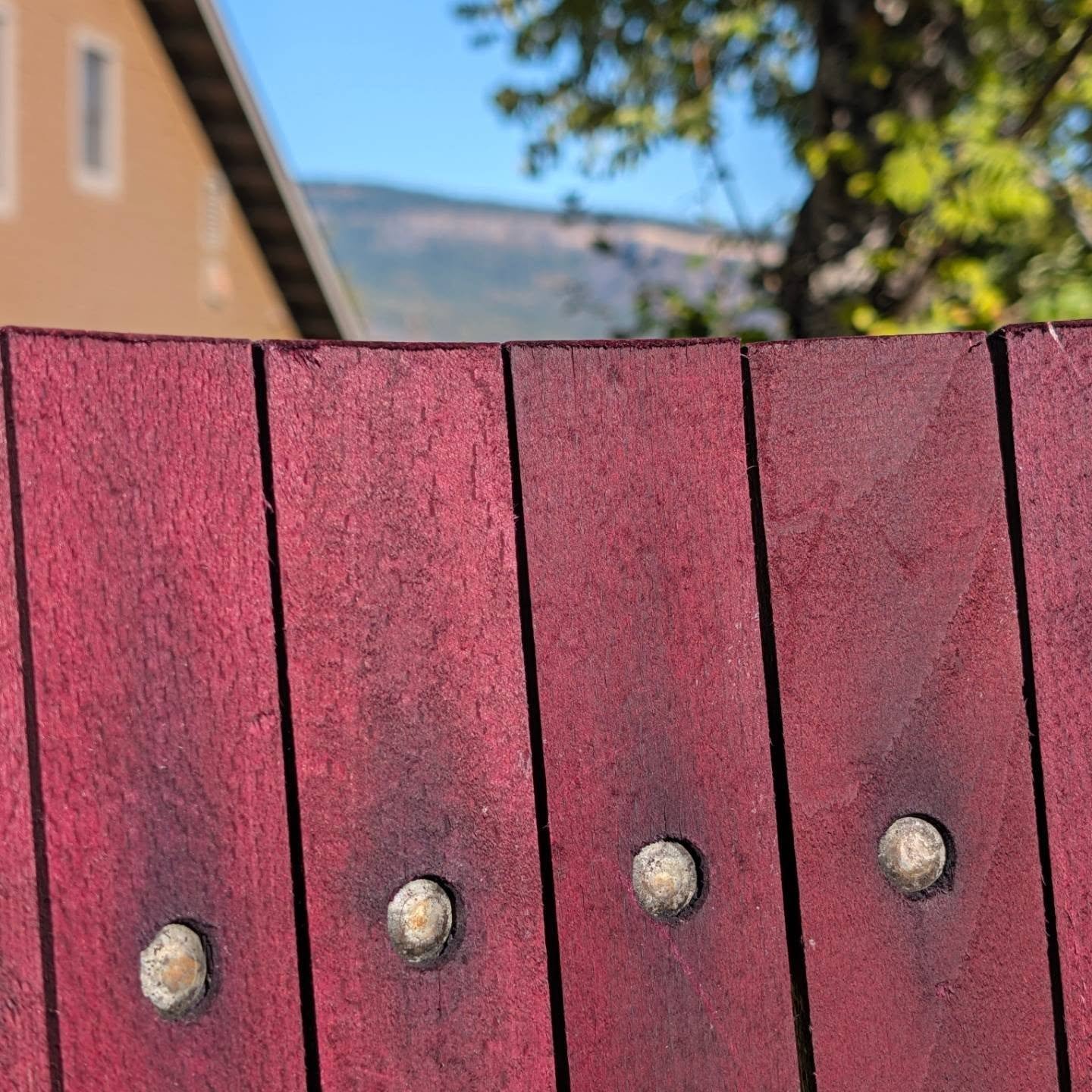 The colors of our 2026 harvest.

#gorgewine #oregonwine #mosieroregon #Harvest2026 #columbiarivergorge